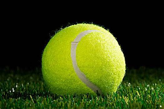 中的表现同 中的表现同