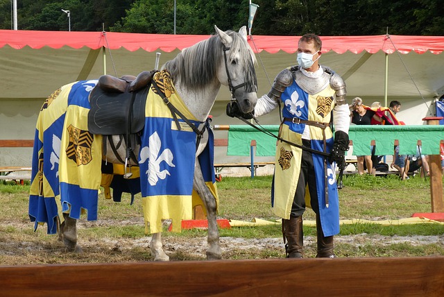 青和整个中 青和整个中