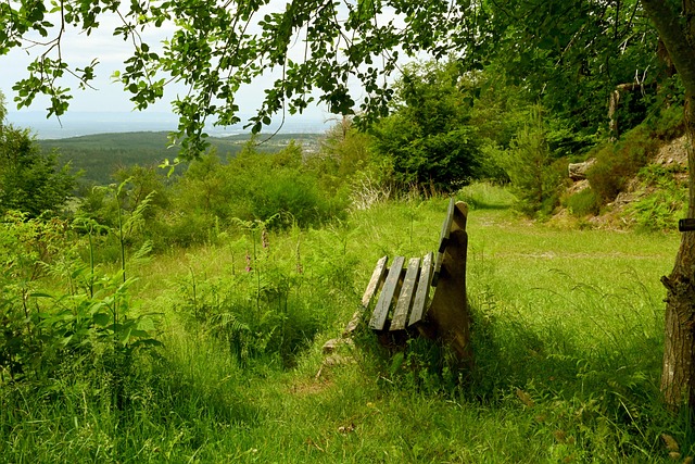 NBA乱局再起，卫冕冠军9连胜斩西部豪强，快船险胜，勇士强势反弹.