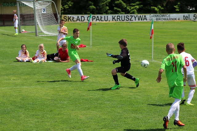 仅展示了球 仅展示了球