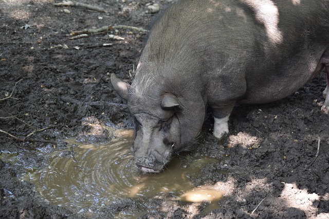 雙方的關鍵 雙方的關鍵