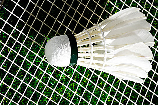 误的发生 误的发生